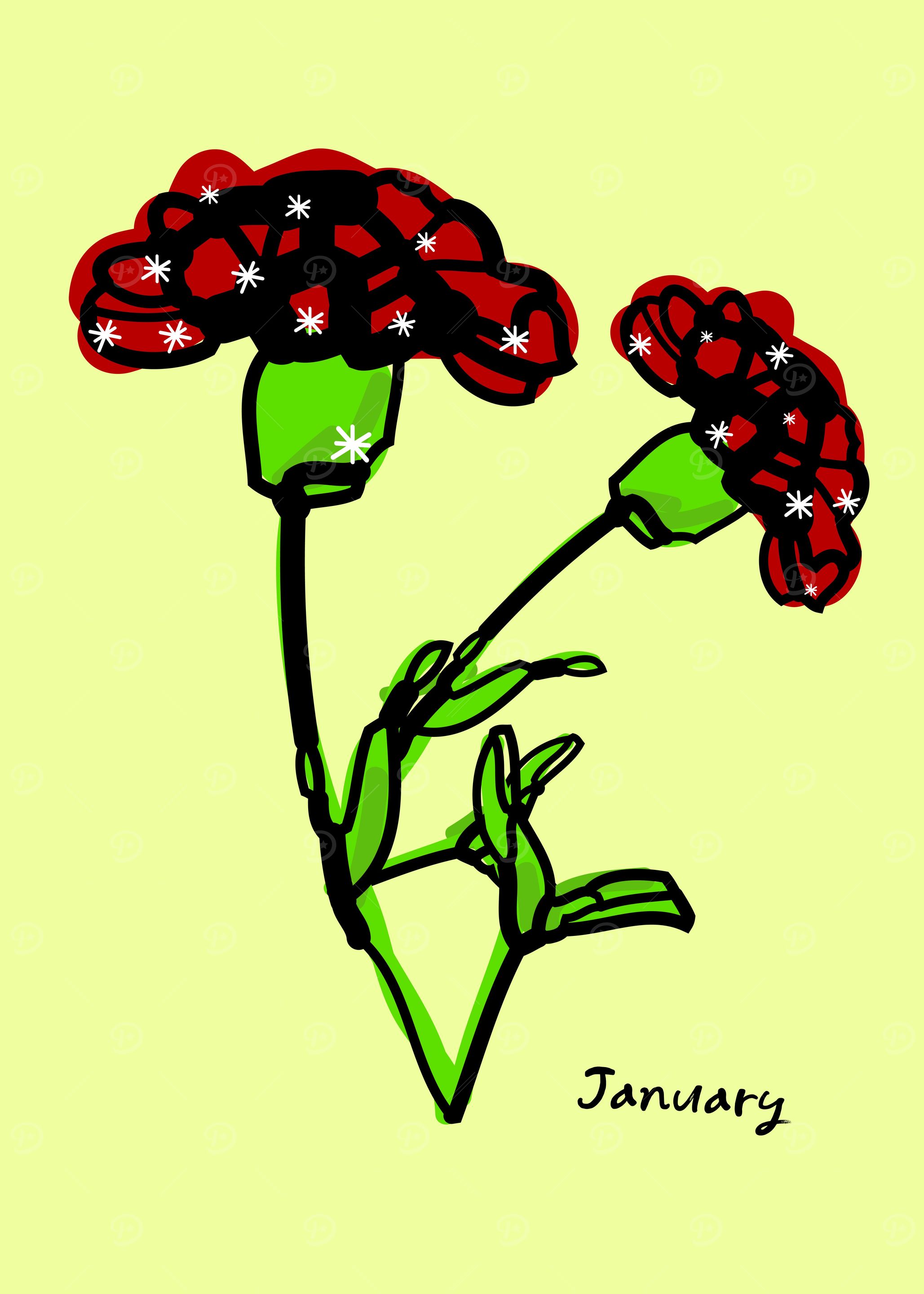 January birth flower