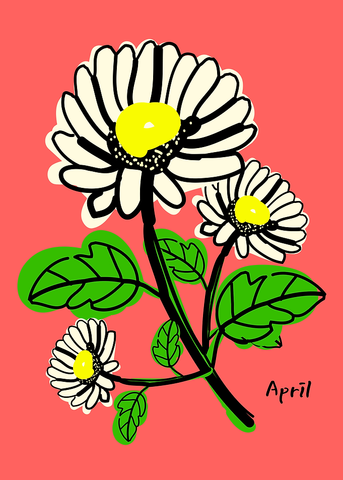 April birth flower
