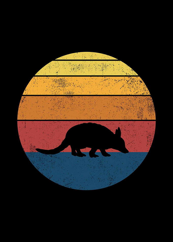Armadillo Retro