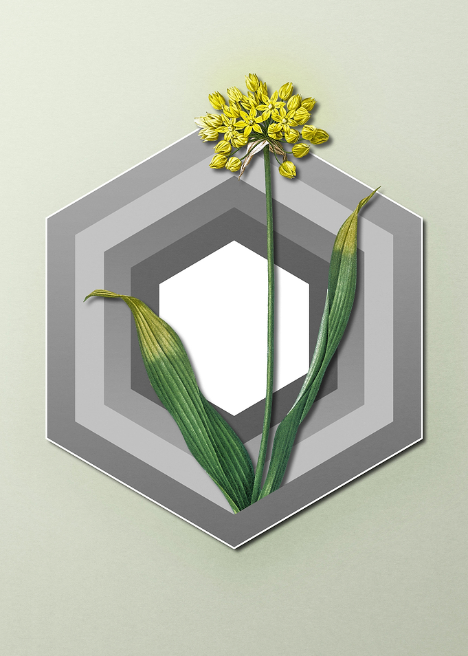 Yellow Flower on Pastel