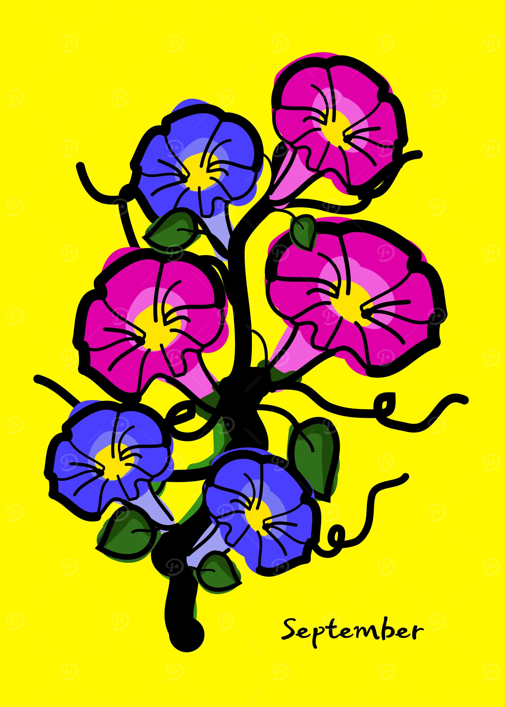 September birth flower