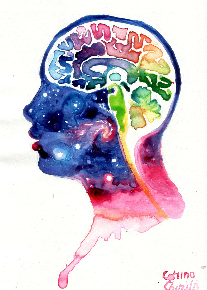 The universe of the human