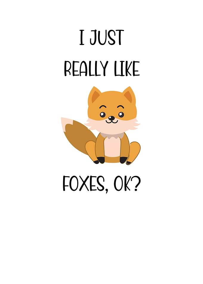 I Just Really Like Foxes