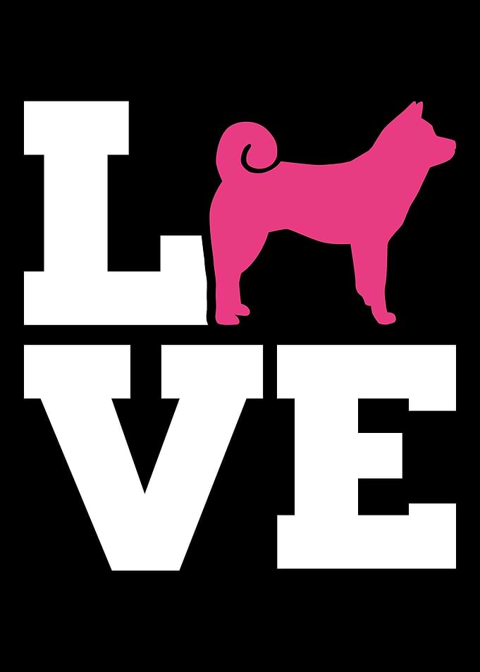 Akita