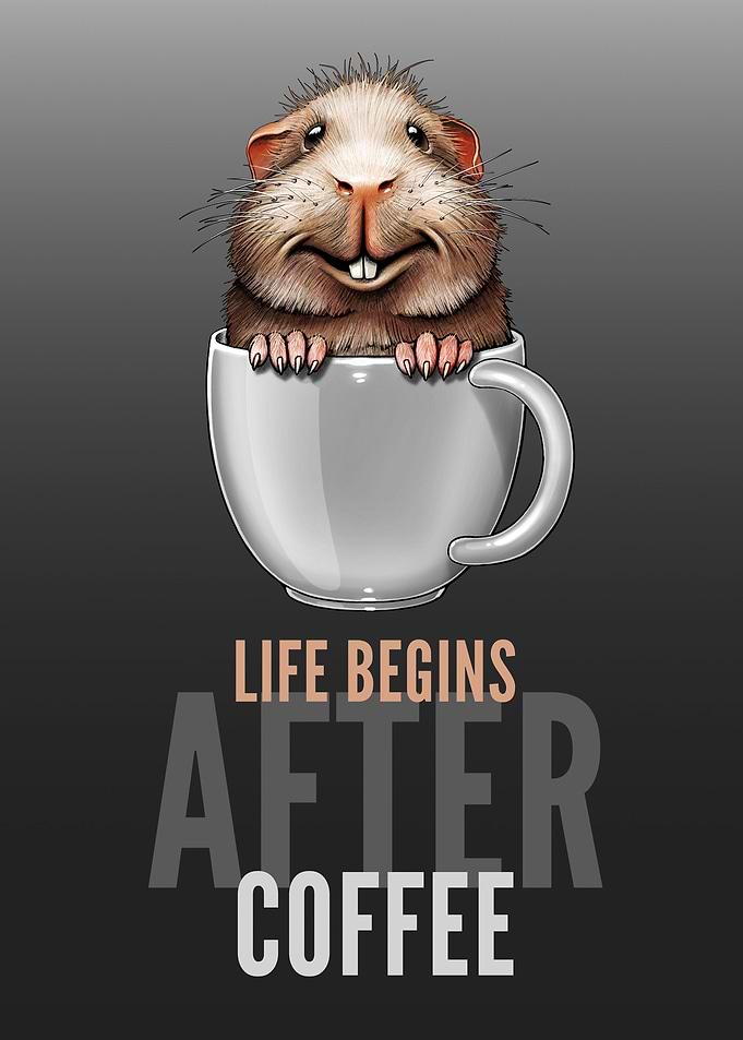 Life Begins After Coffee