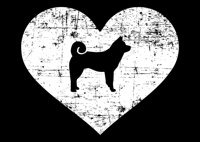 Akita