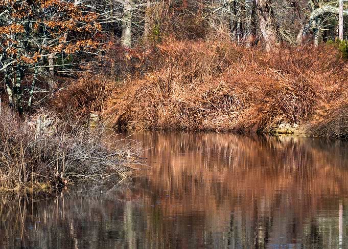 Fall Landscape