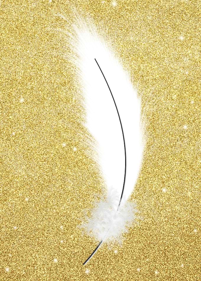 White Gold Bird Feather