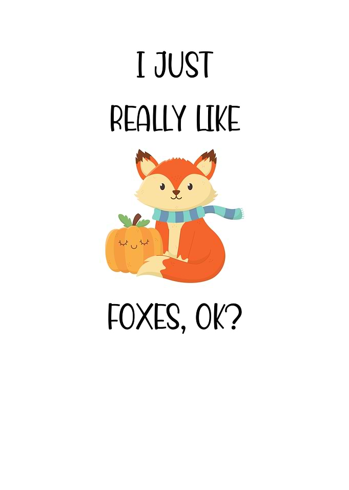 I Just Really Like Foxes