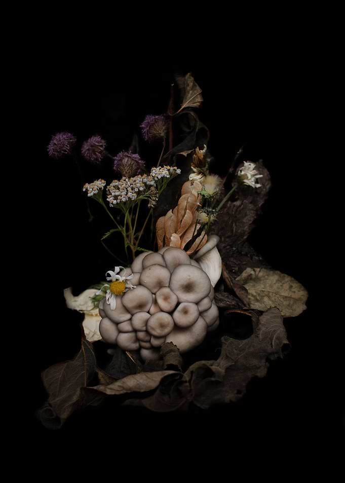 Autumn still life
