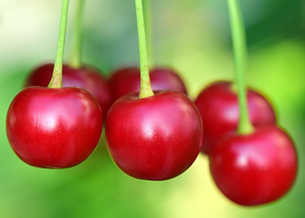 Cherry fruit
