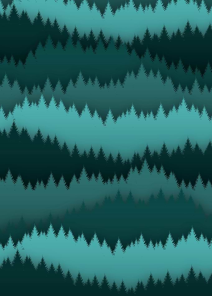 Pine silhuette landscape