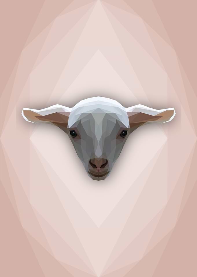Grumpy Goat