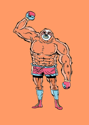 SLOTH BOXER