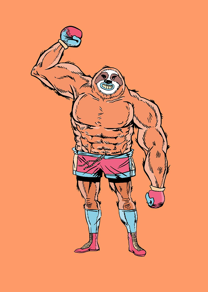 SLOTH BOXER