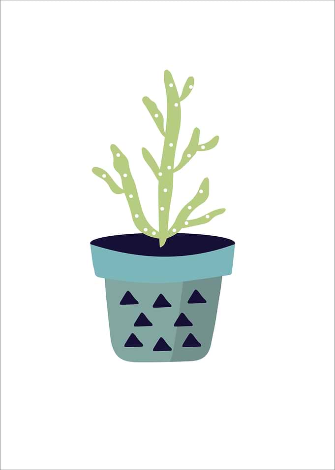 flowerpot