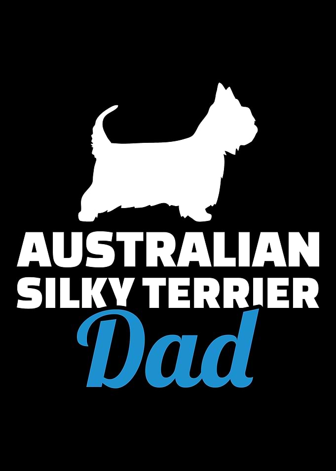 Australian Silky Terrier