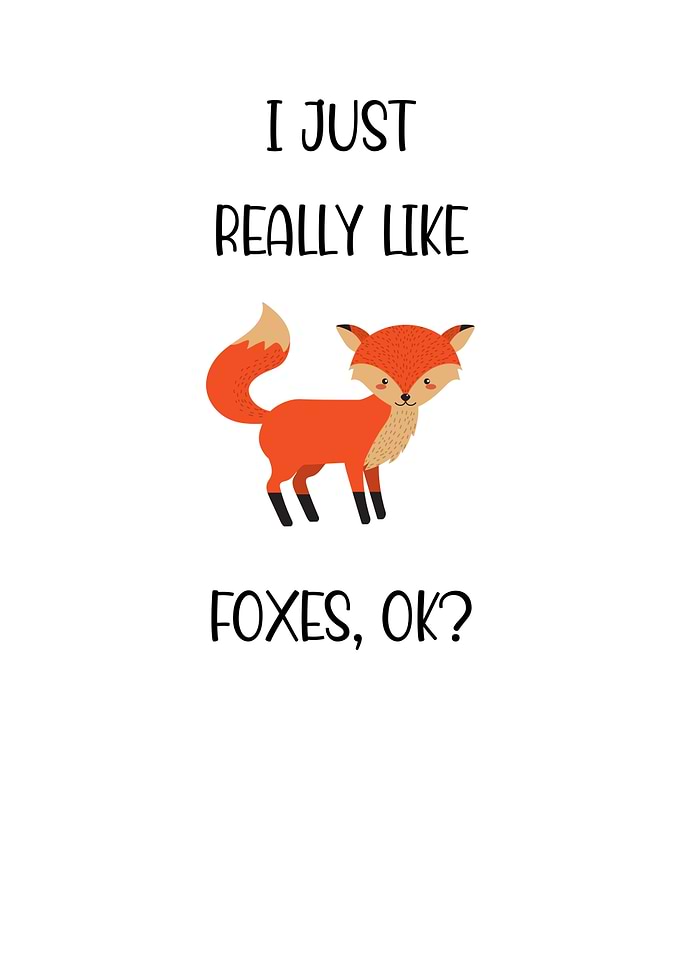 I Just Really Like Foxes