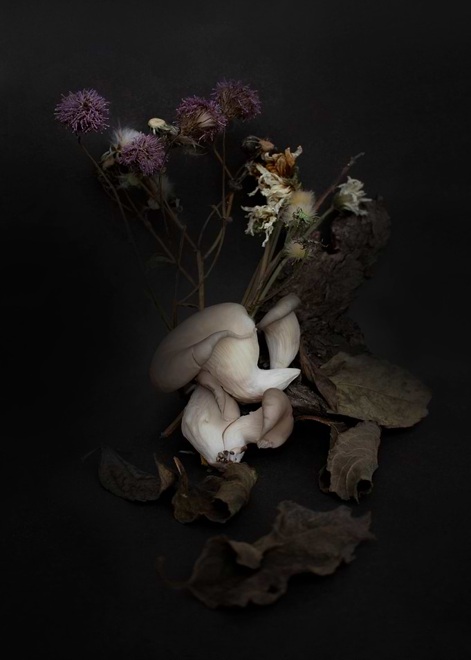 Autumn still life