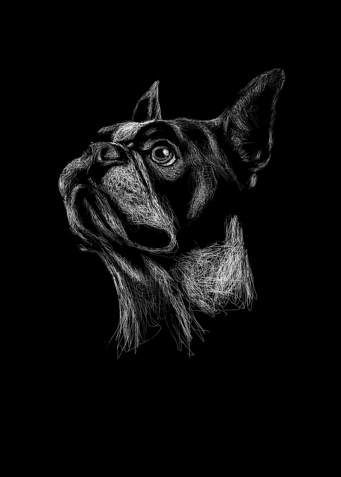 dog scribble