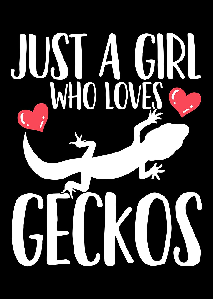 Geckos Lizard Reptile Geck
