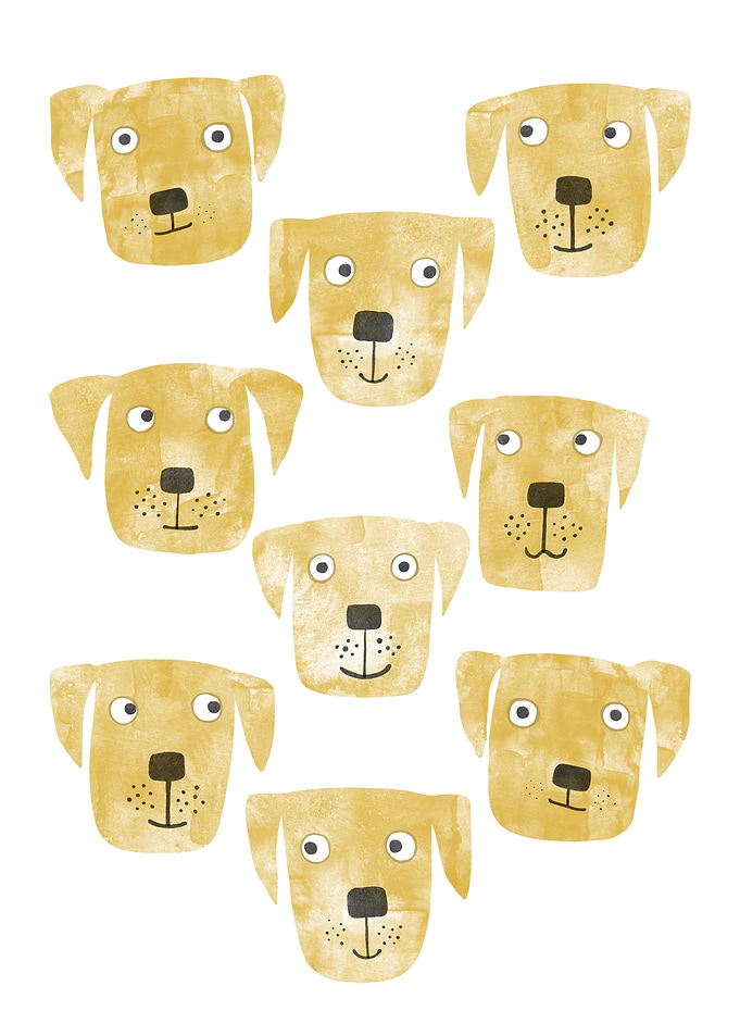 Golden Labrador Retriever