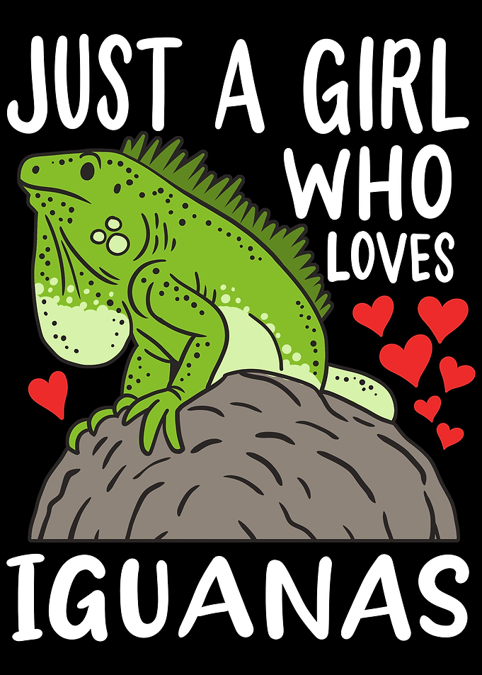 Iguana Lizard Reptile Igua
