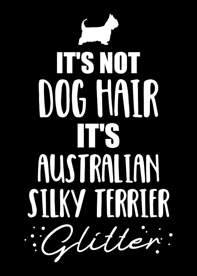 Australian Silky Terrier