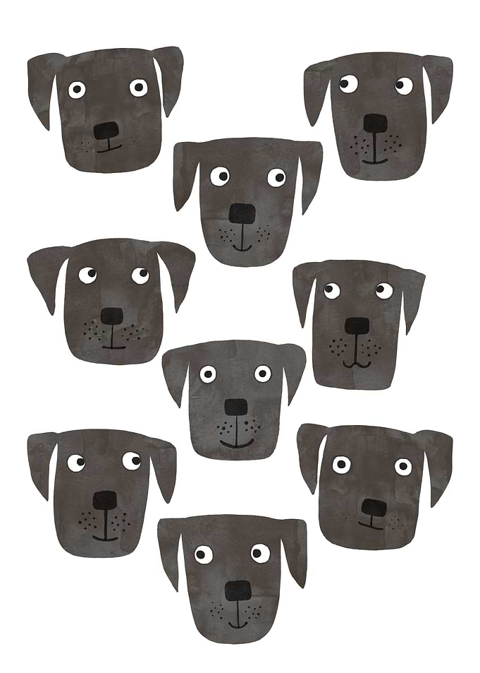 Black Labrador Retrievers