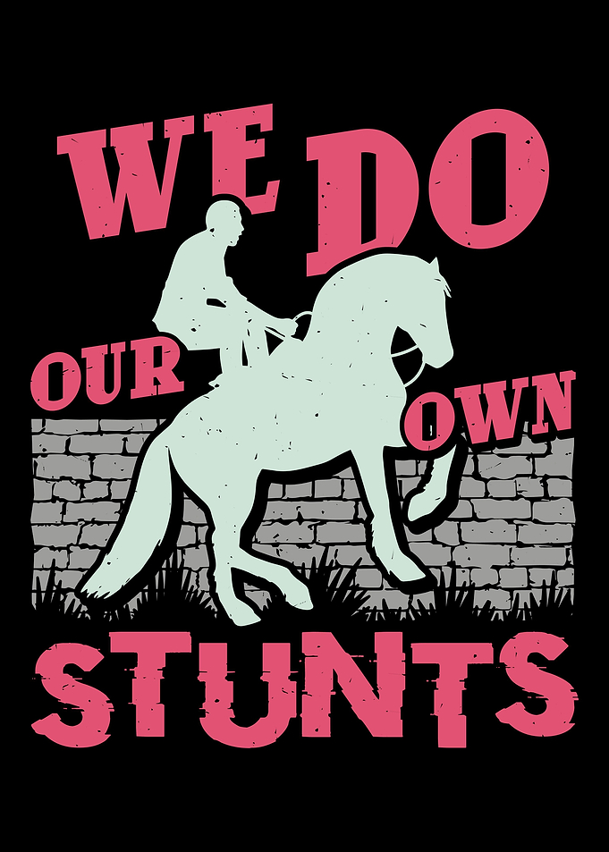 Stunts gift
