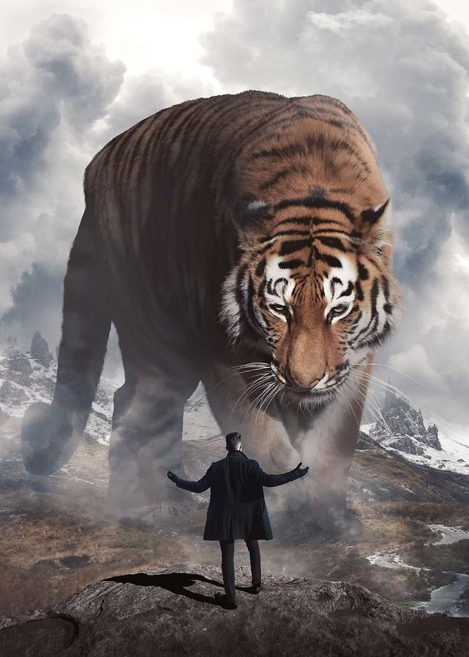 Come At me Bro
