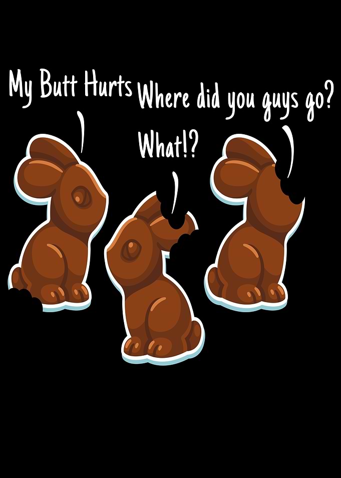 Chocolate Bunny