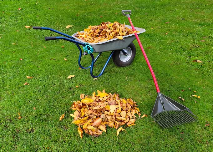 Autumn Leaves