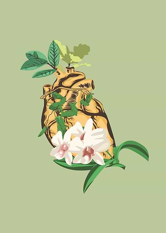 plant is heart
