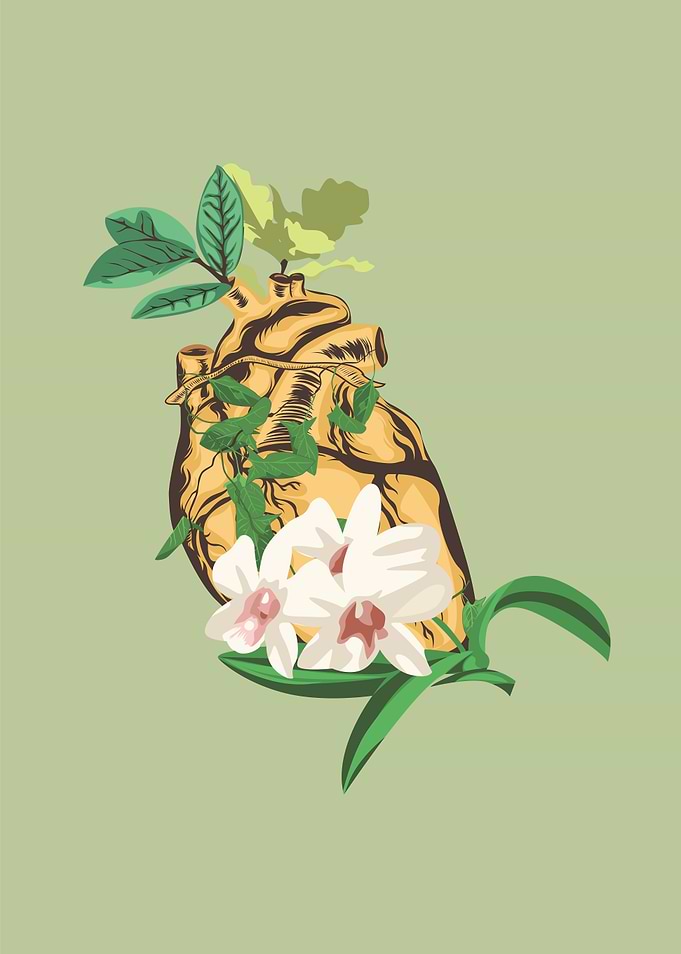 plant is heart