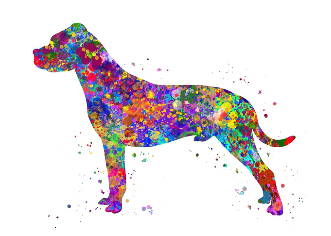Dogo argentino watercolor