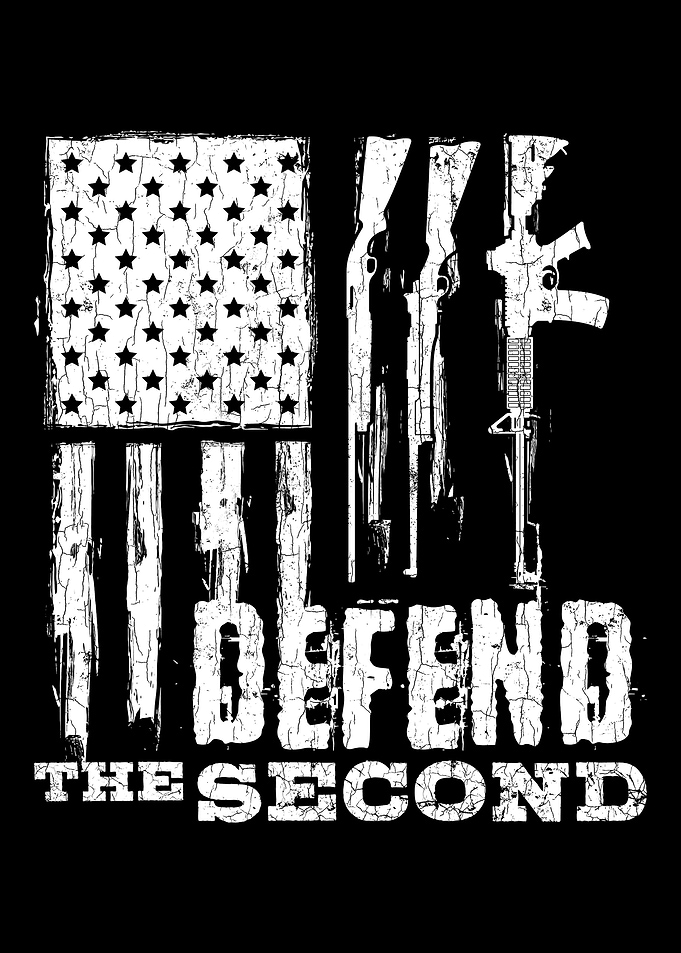 Defend The 2nd Amendment P