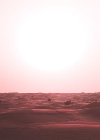 desert