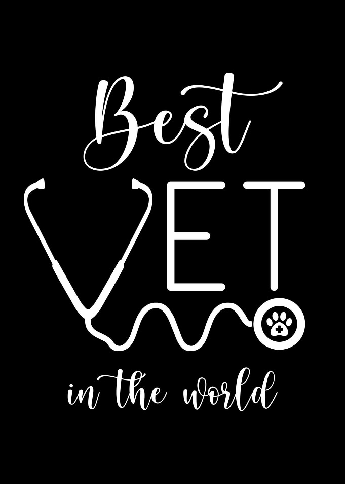 Veterinarian Gift Saying