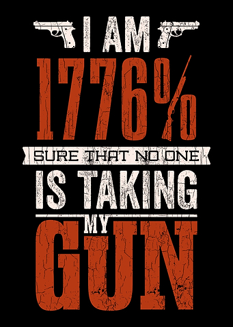 No One Is Taking My Guns 2