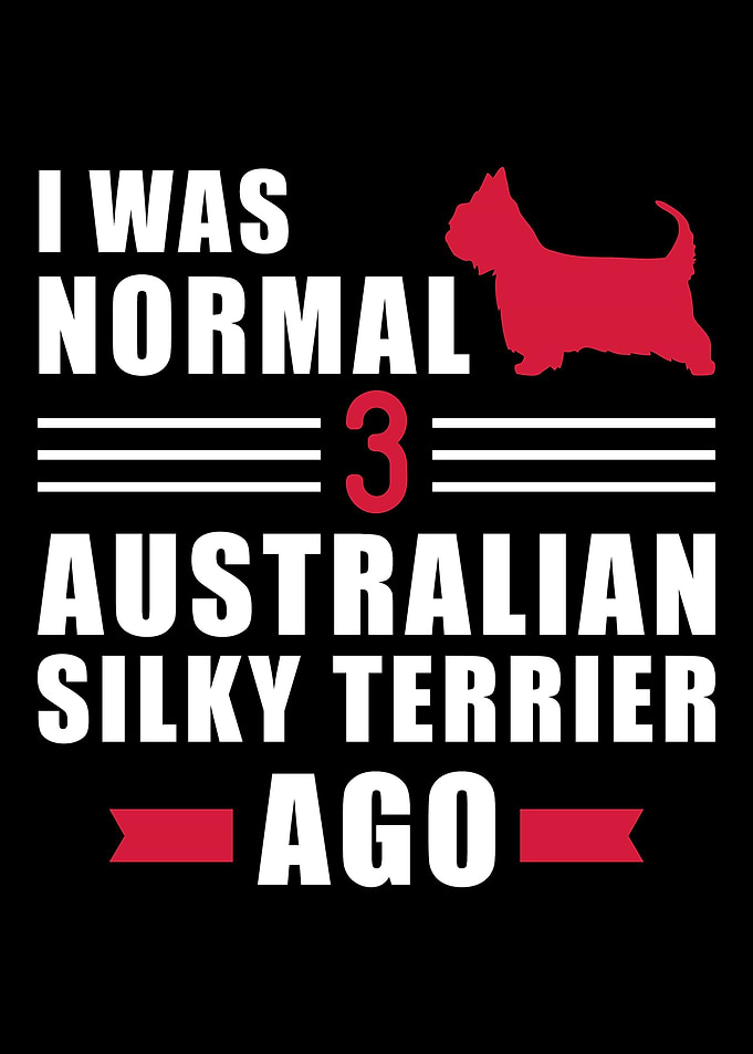 Australian Silky Terrier