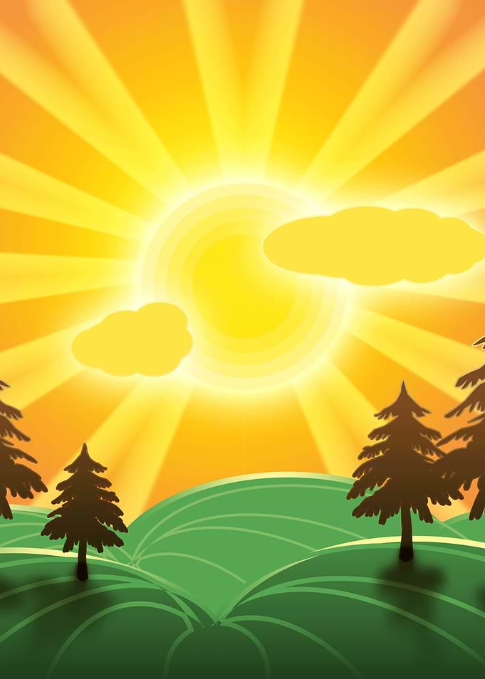 Sunny day in the field