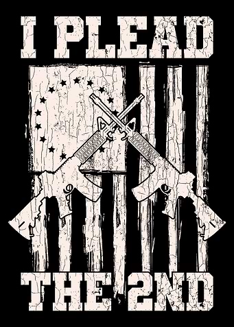 I Plead The 2nd Amendment