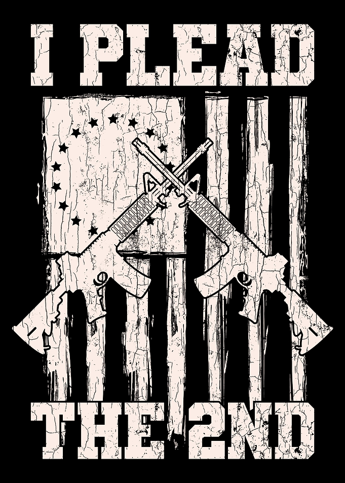 I Plead The 2nd Amendment