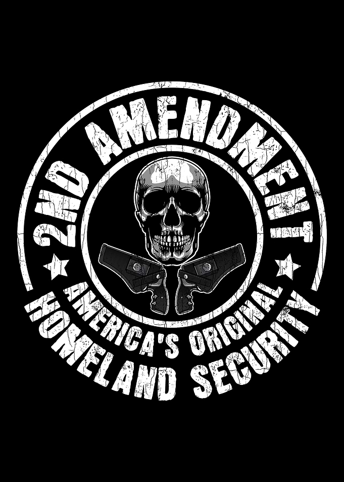The 2nd Amendment Pro Gun