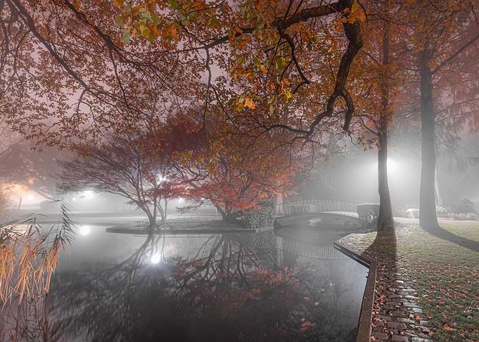 City park in the fog
