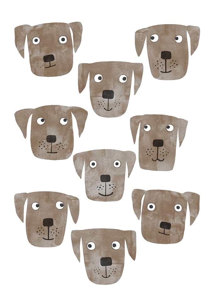 Labrador Retriever Dogs