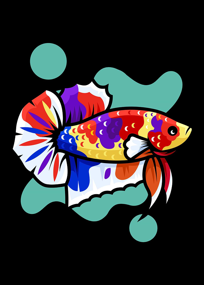 Betta Fish Lover Aquarium