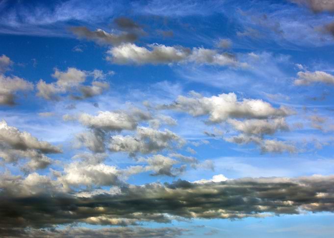 Wild Sky
