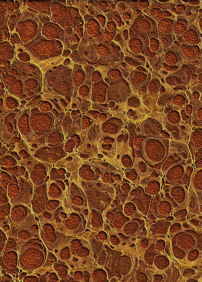 Golden Marble 16